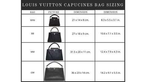 lv capucines bag sizes|louis vuitton capucine bag.